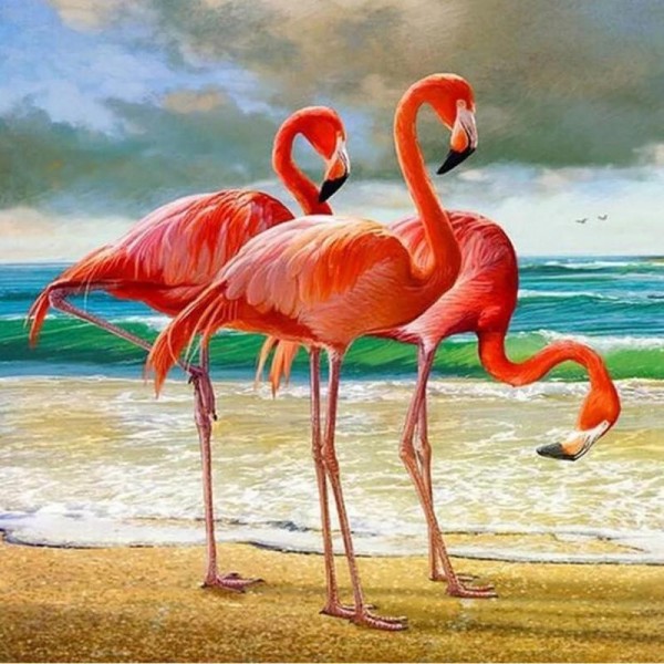 Flamingos vid havet